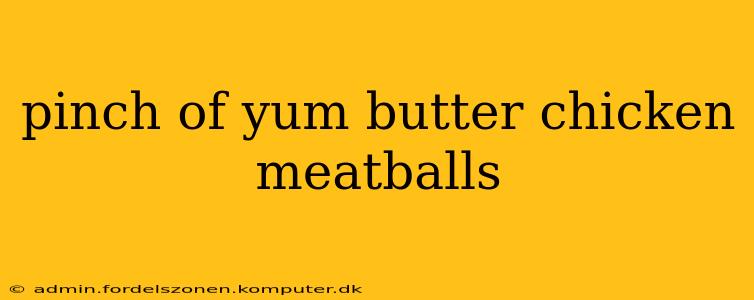 pinch of yum butter chicken meatballs