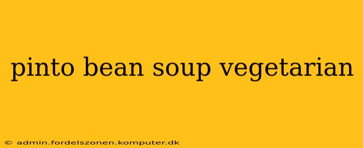 pinto bean soup vegetarian