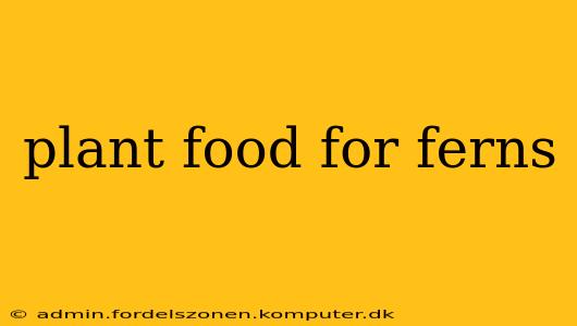 plant food for ferns