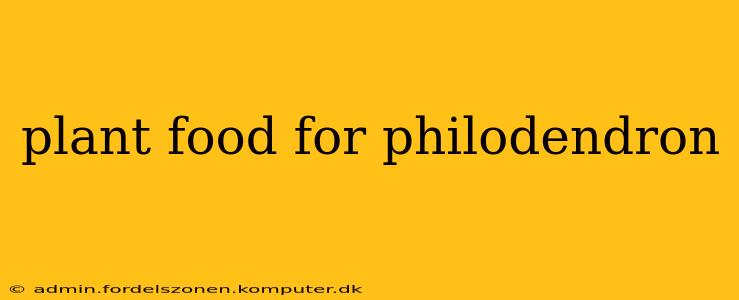 plant food for philodendron