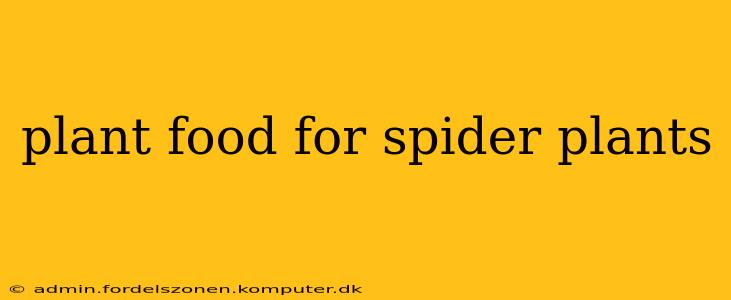 plant food for spider plants