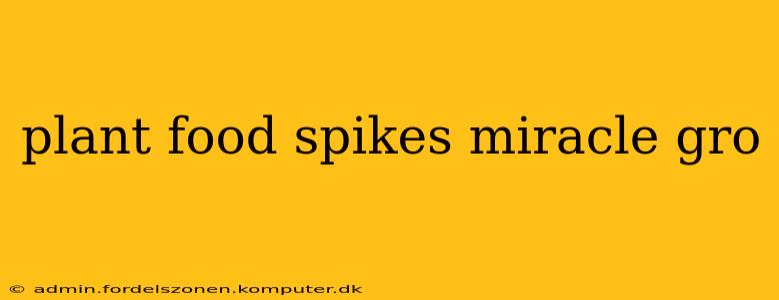 plant food spikes miracle gro