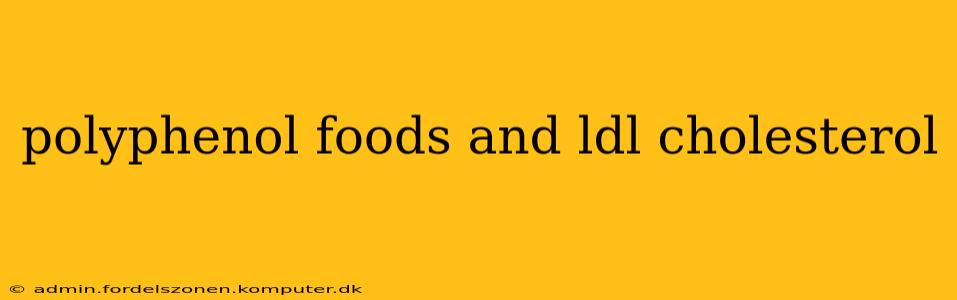 polyphenol foods and ldl cholesterol