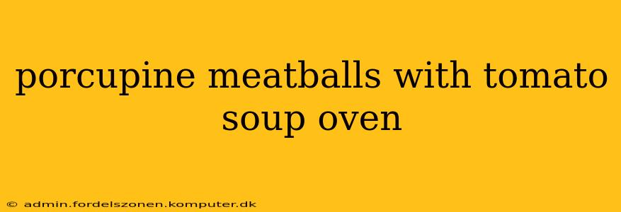porcupine meatballs with tomato soup oven