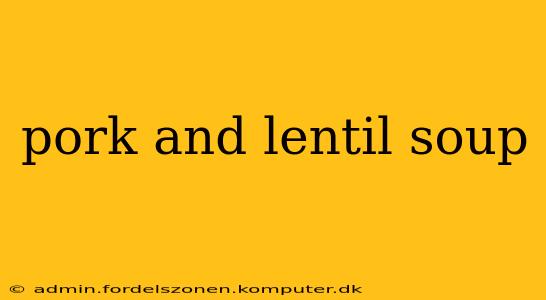 pork and lentil soup