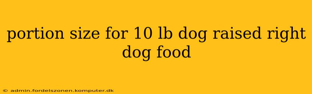 portion size for 10 lb dog raised right dog food