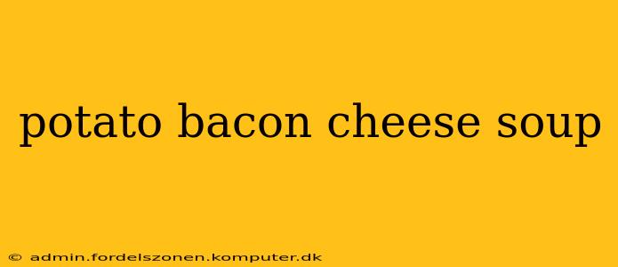 potato bacon cheese soup