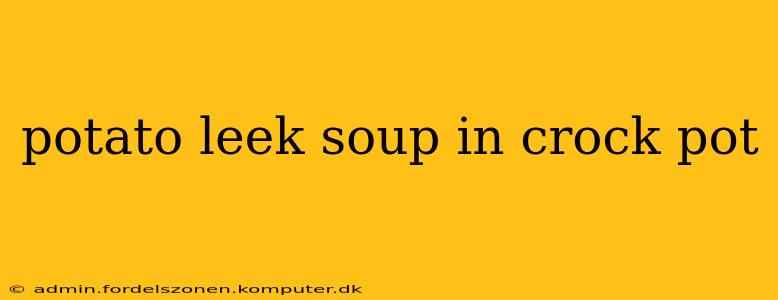 potato leek soup in crock pot