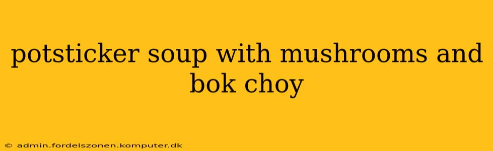potsticker soup with mushrooms and bok choy