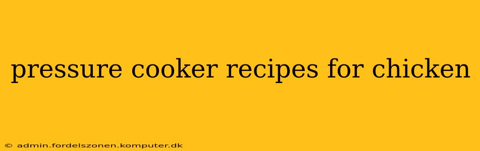 pressure cooker recipes for chicken