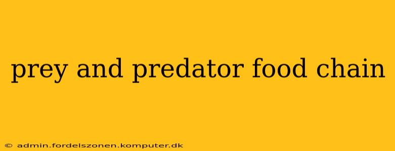 prey and predator food chain