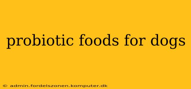 probiotic foods for dogs