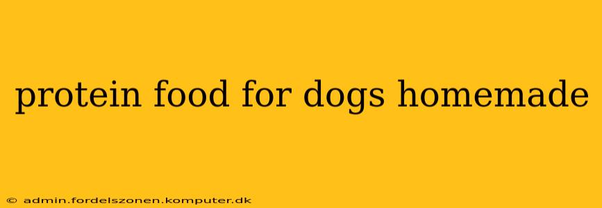 protein food for dogs homemade