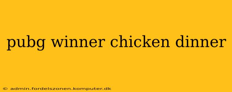 pubg winner chicken dinner