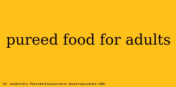 pureed food for adults
