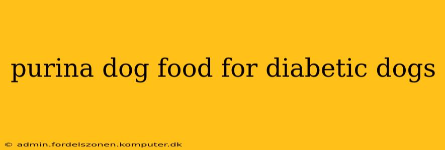 purina dog food for diabetic dogs