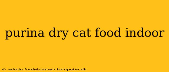 purina dry cat food indoor