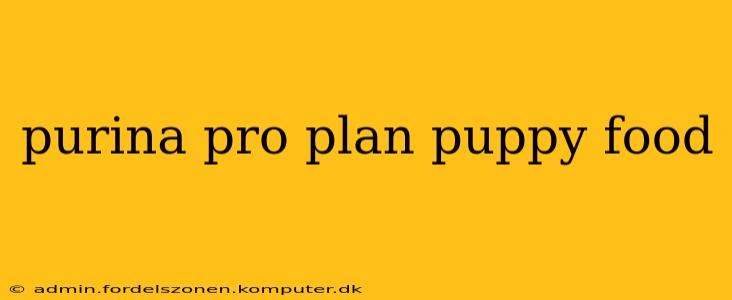purina pro plan puppy food