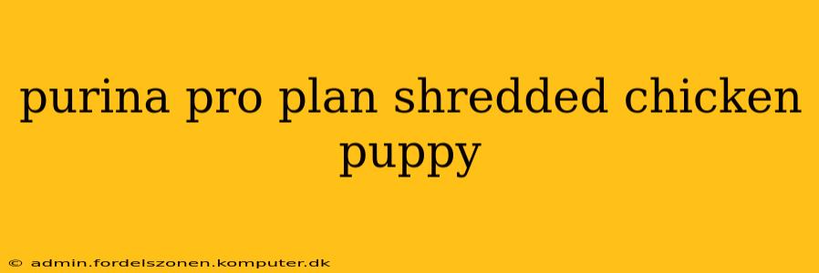 purina pro plan shredded chicken puppy
