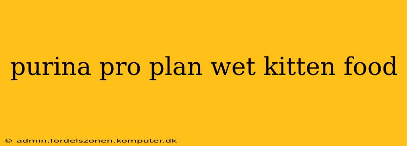 purina pro plan wet kitten food
