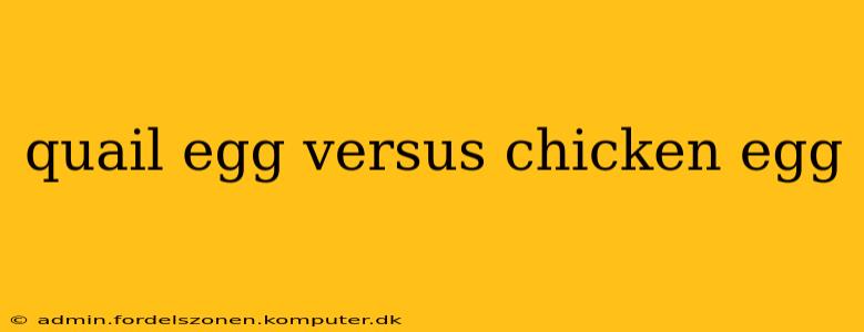 quail egg versus chicken egg
