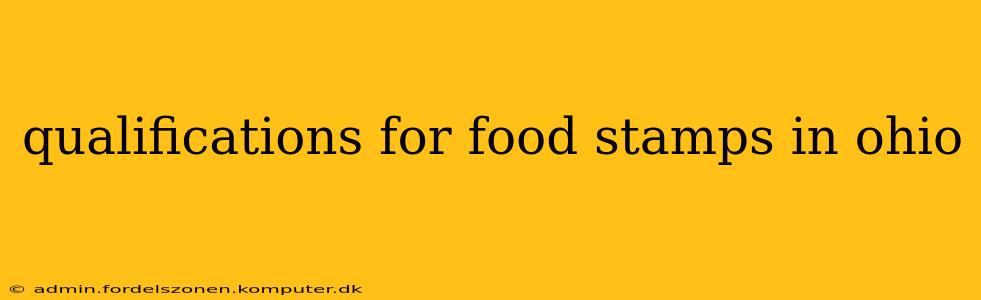 qualifications for food stamps in ohio