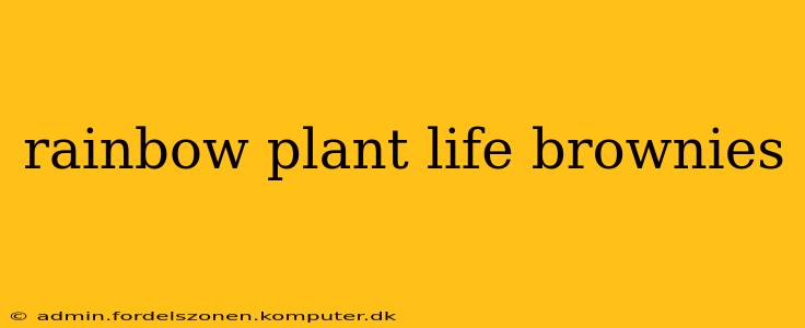 rainbow plant life brownies