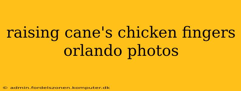 raising cane's chicken fingers orlando photos