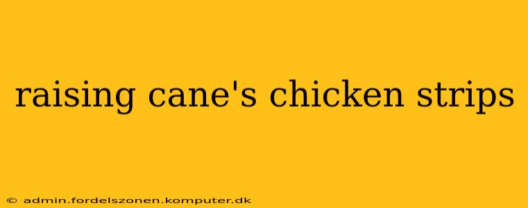 raising cane's chicken strips