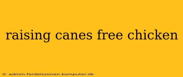 raising canes free chicken