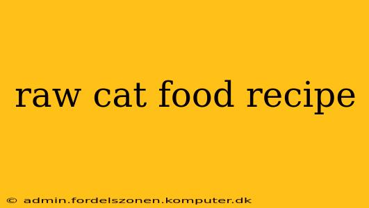 raw cat food recipe