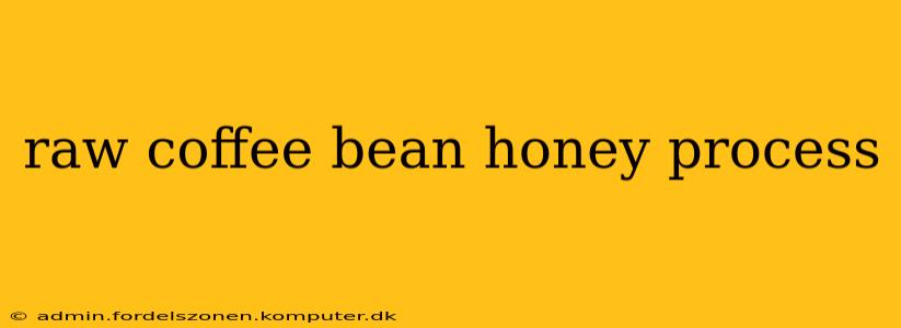 raw coffee bean honey process