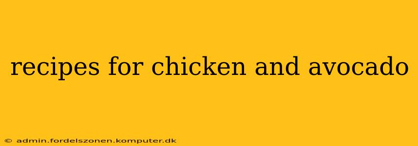 recipes for chicken and avocado