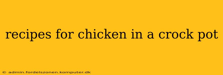 recipes for chicken in a crock pot