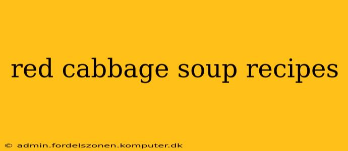 red cabbage soup recipes