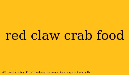 red claw crab food