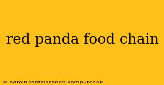 red panda food chain