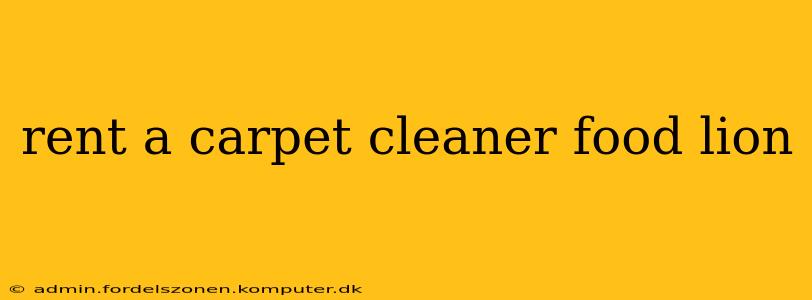 rent a carpet cleaner food lion