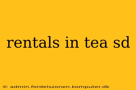 rentals in tea sd