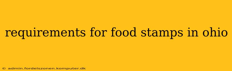 requirements for food stamps in ohio