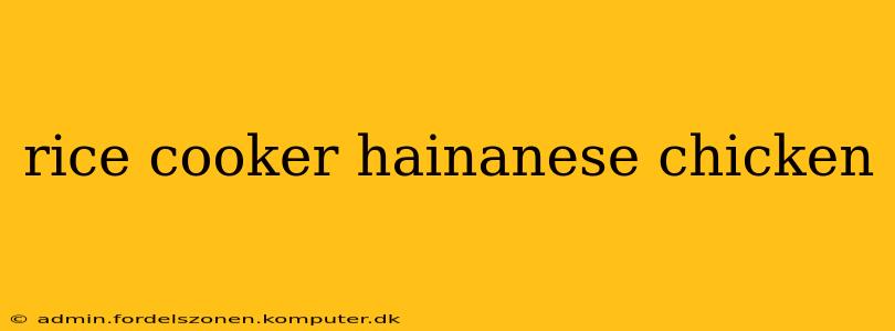 rice cooker hainanese chicken