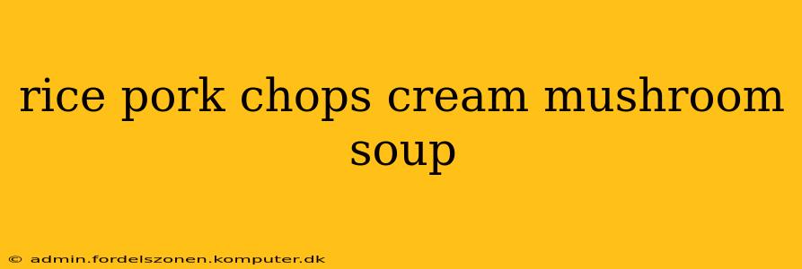 rice pork chops cream mushroom soup