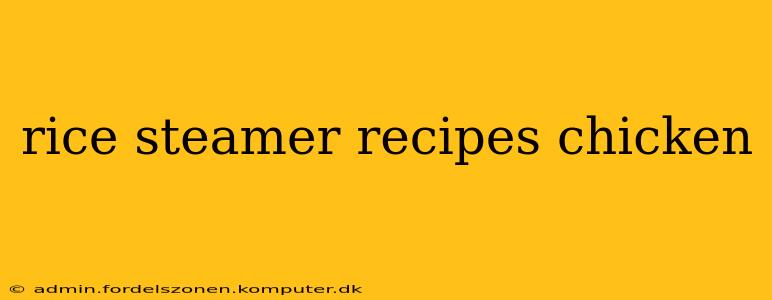 rice steamer recipes chicken
