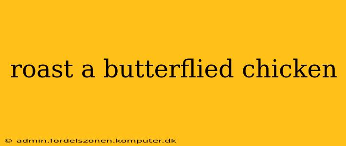 roast a butterflied chicken