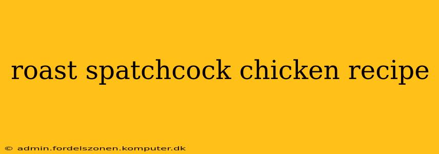 roast spatchcock chicken recipe
