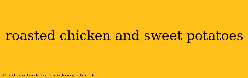 roasted chicken and sweet potatoes