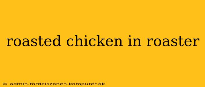 roasted chicken in roaster