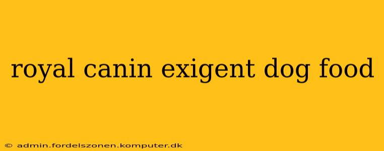 royal canin exigent dog food