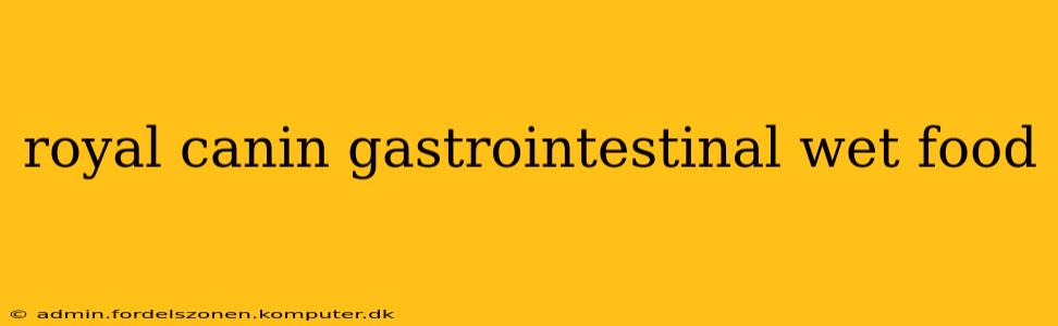 royal canin gastrointestinal wet food