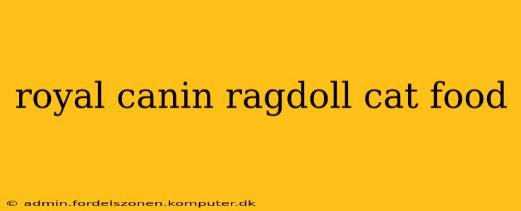 royal canin ragdoll cat food